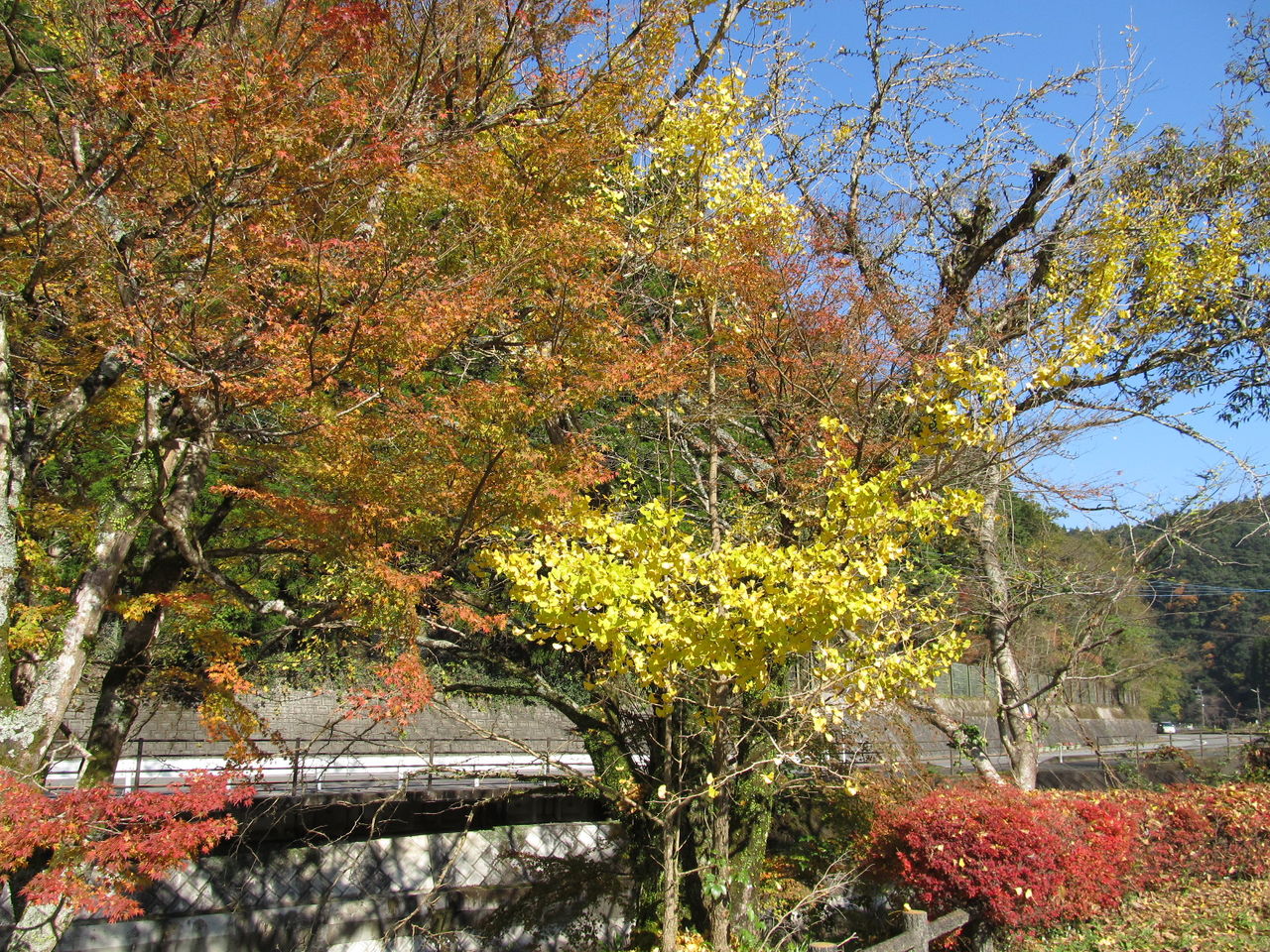イメージ 15
