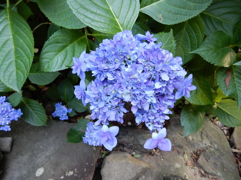 DSCN8580