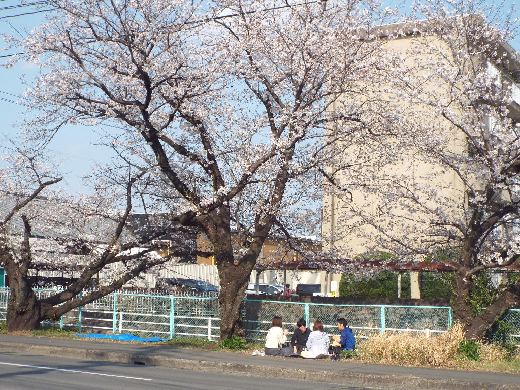 イメージ 7