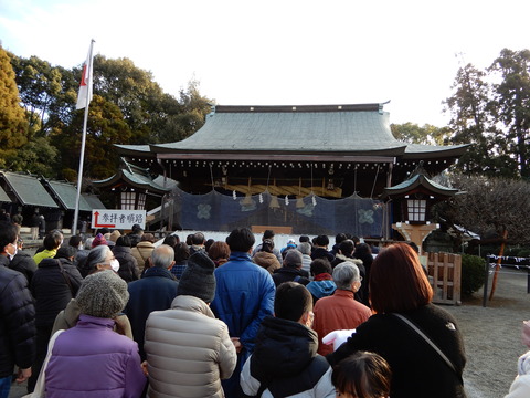 DSCN6550