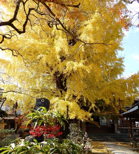 岳林寺３