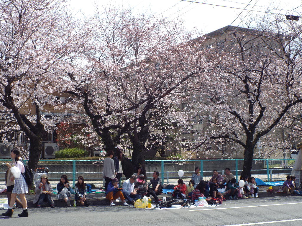 イメージ 8