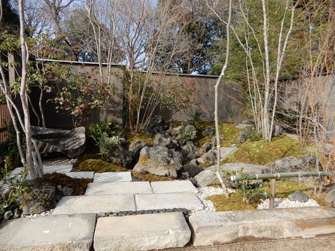 DSCN5185