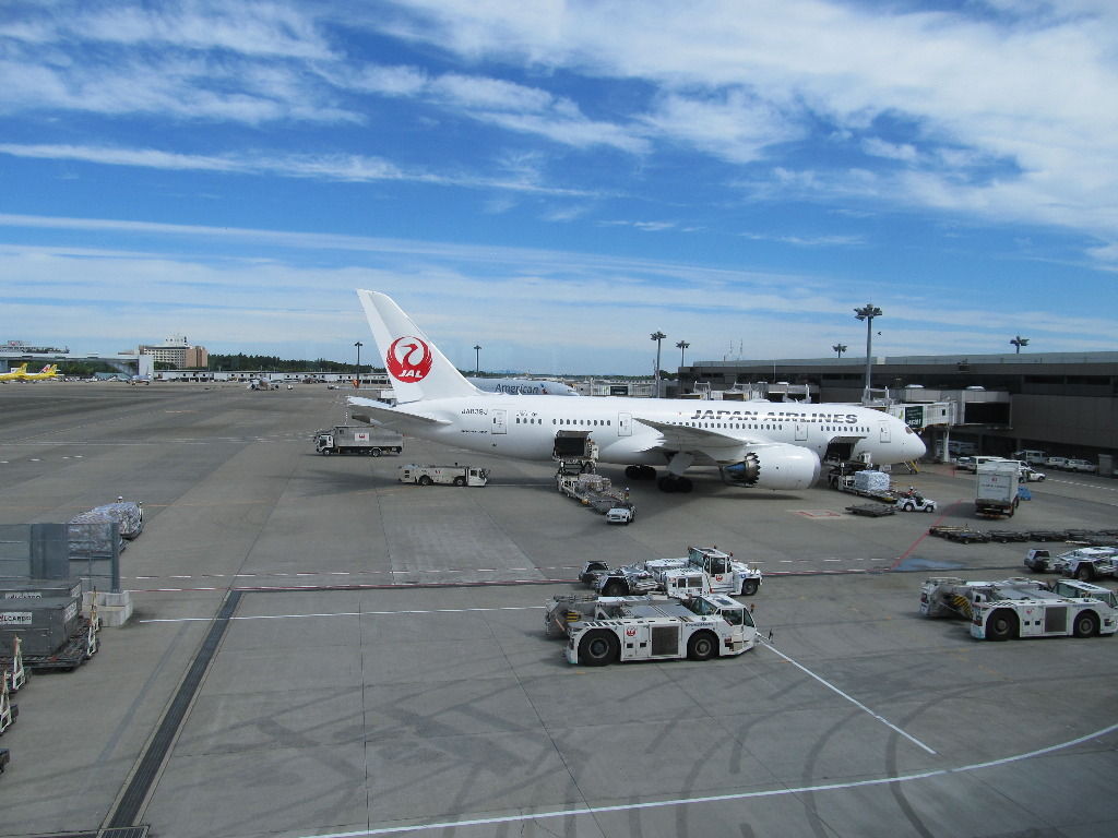 イメージ 7