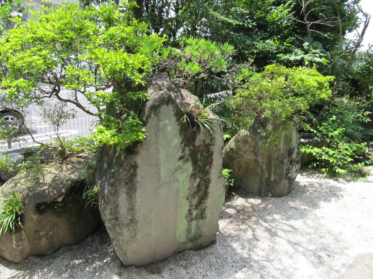 イメージ 1