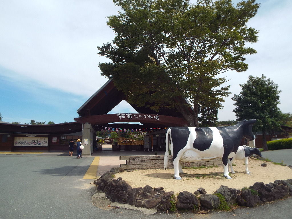 イメージ 7