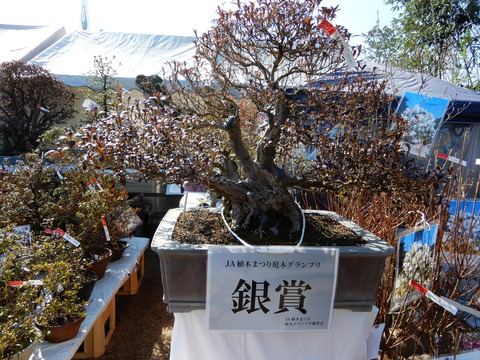 DSCN8177
