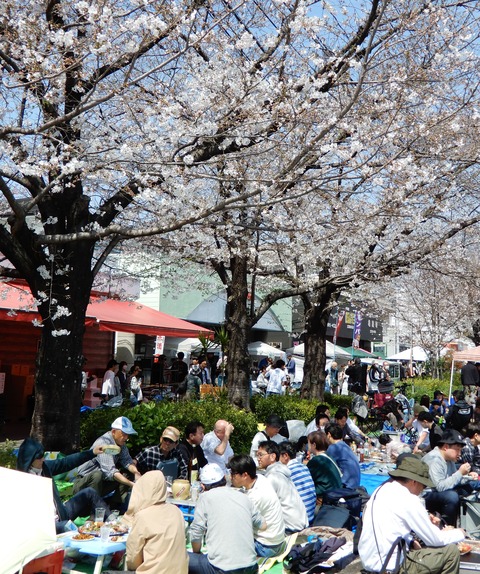 桜祭り