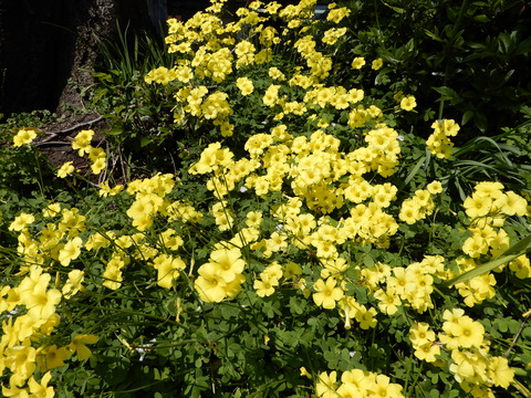 DSCN3744