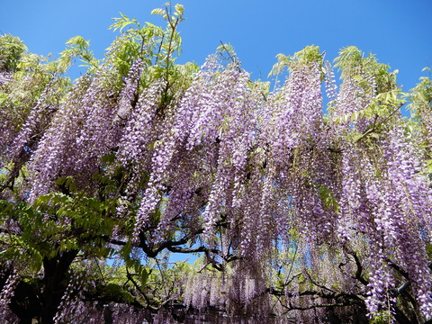 DSCN9582