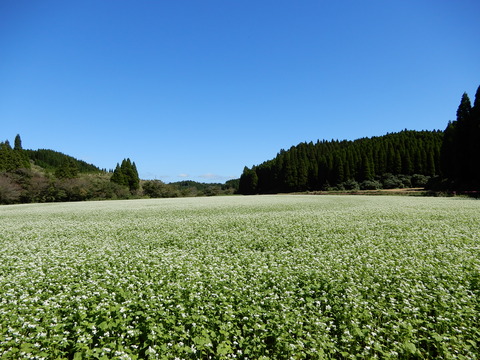 DSCN4856