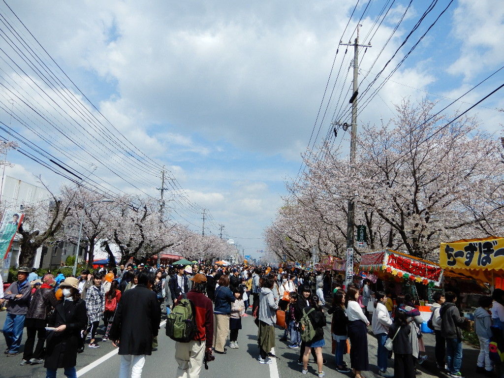 イメージ 1