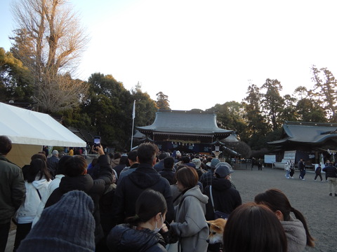 DSCN8133