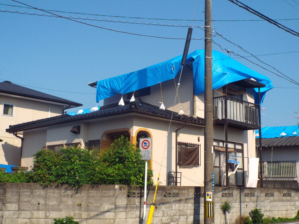 イメージ 10