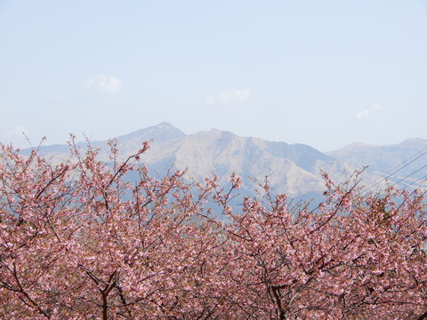 DSCN9327