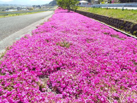 DSCF5199