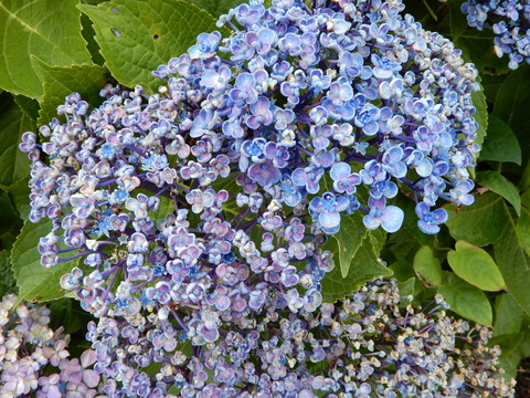 DSCN9779
