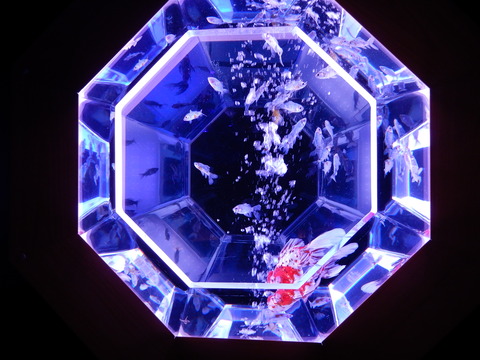 DSCN3148