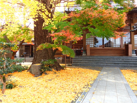 DSCN6398
