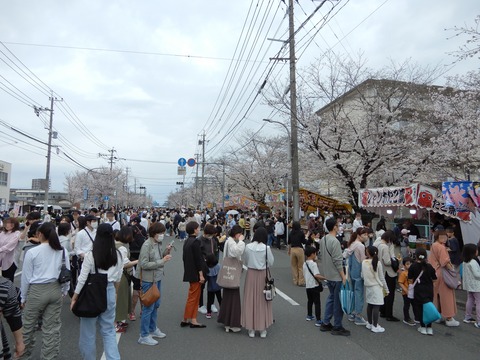 桜６