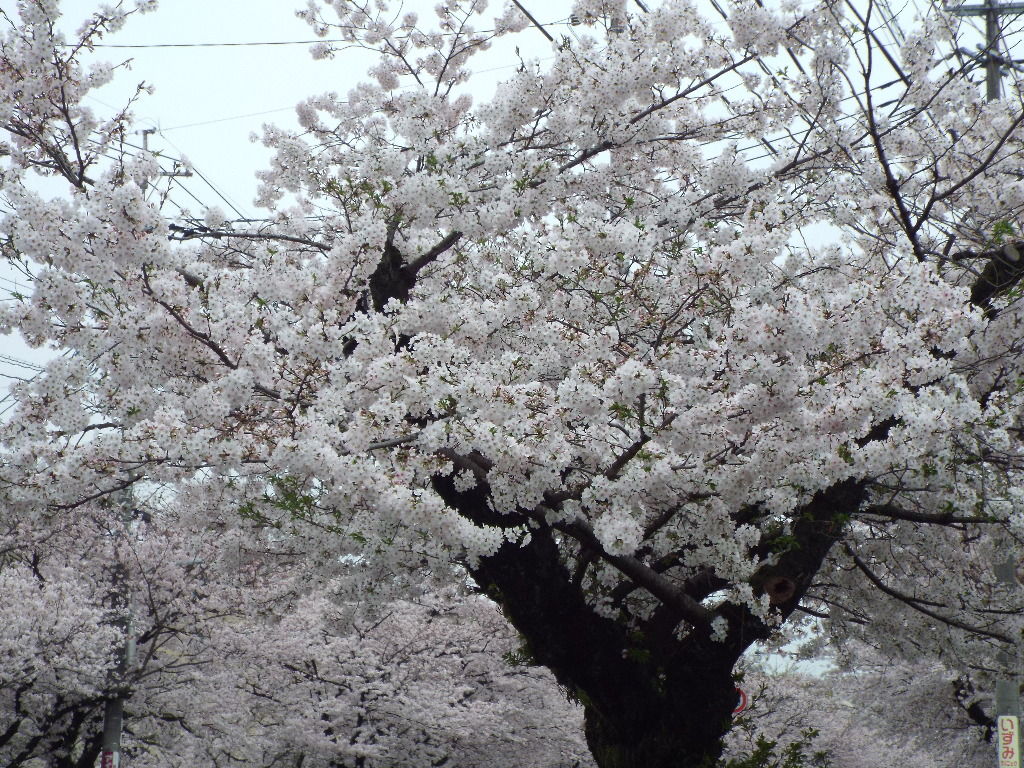 イメージ 9