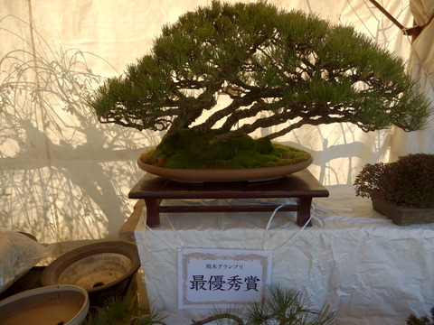 DSCN3385