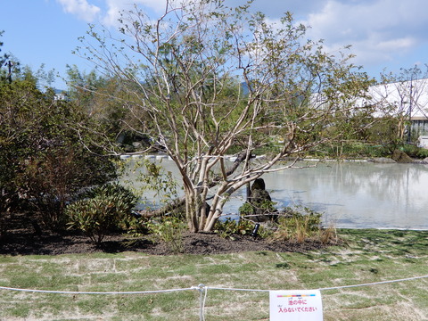 DSCN2907