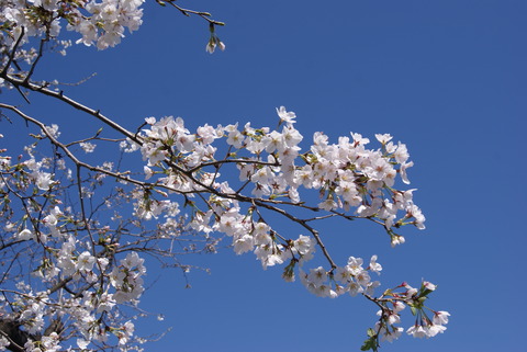 DSC00030