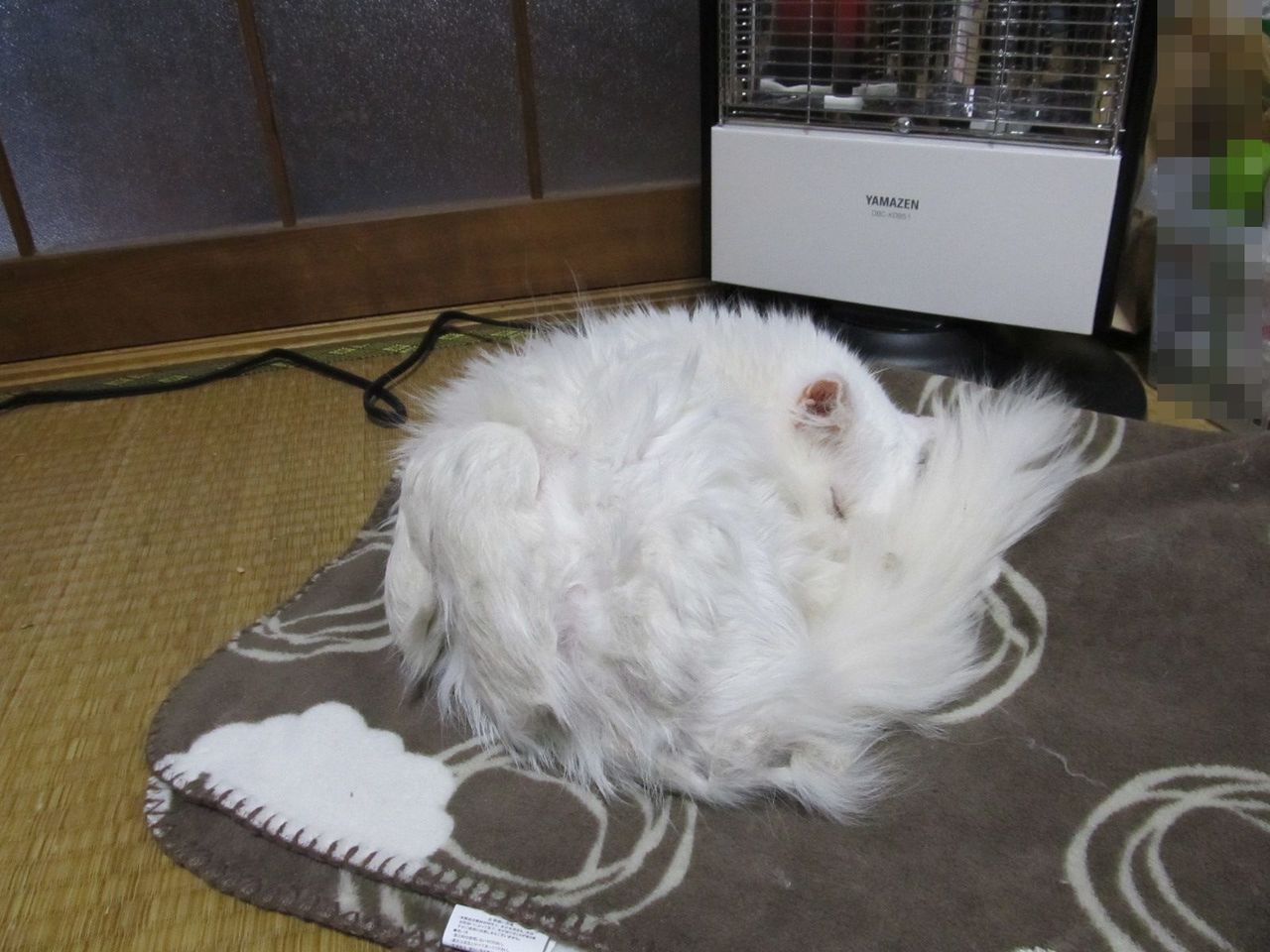 イメージ 1
