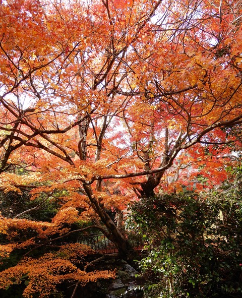 岳林寺５