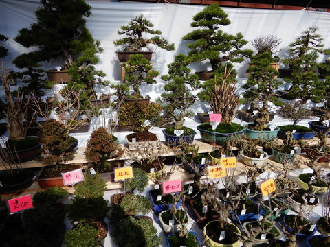 DSCN3968