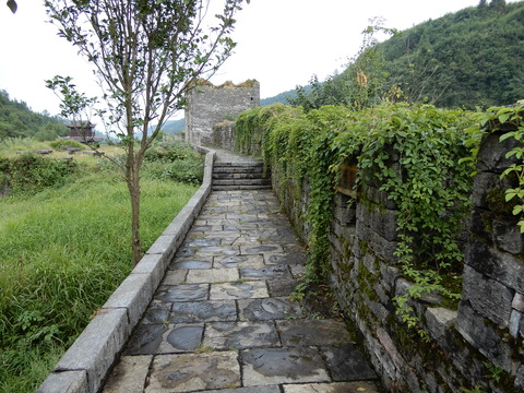 DSCN2718