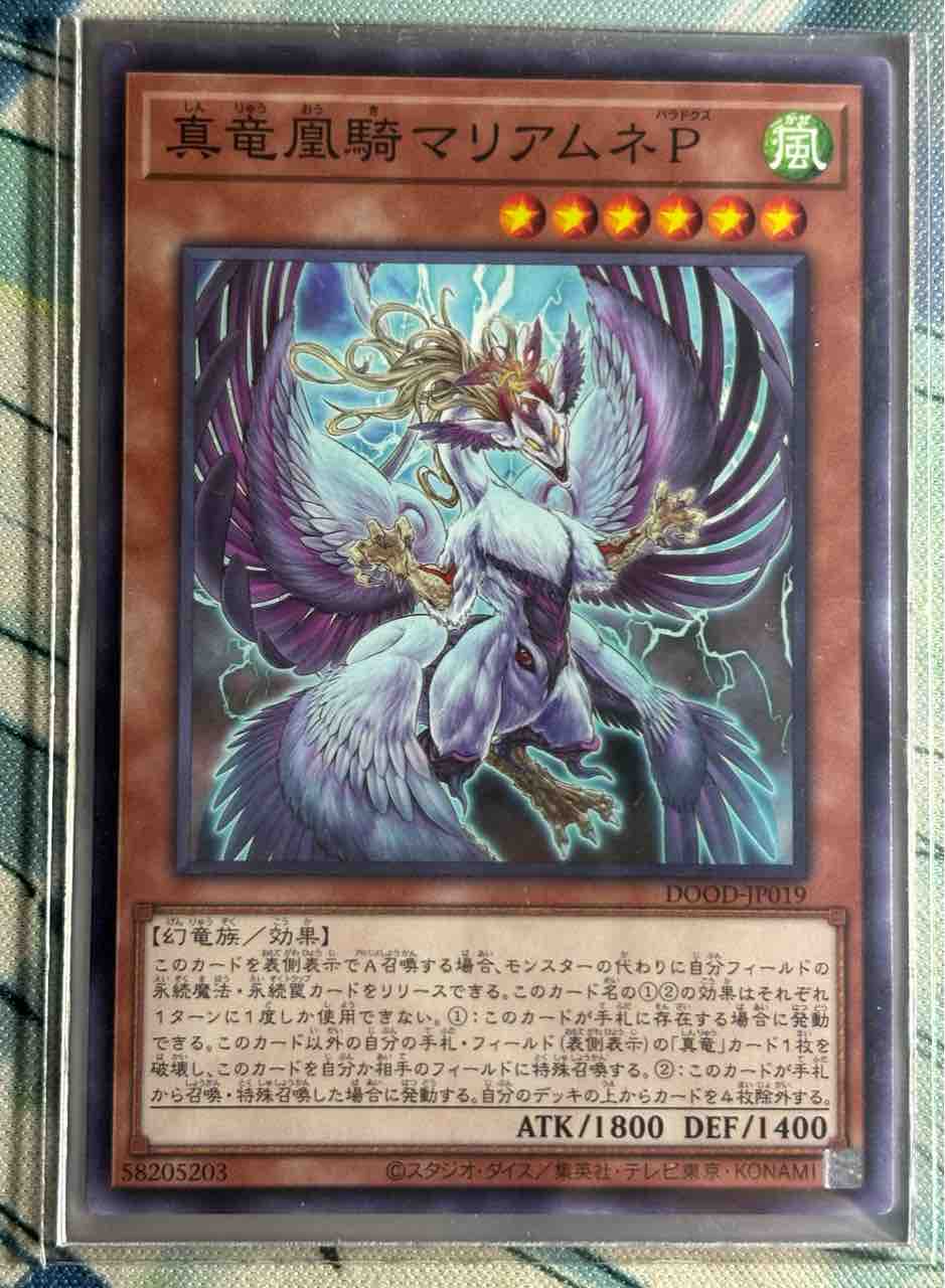 【断捨離】幻壊竜デッキ Demolition Shutter - Yugipedia