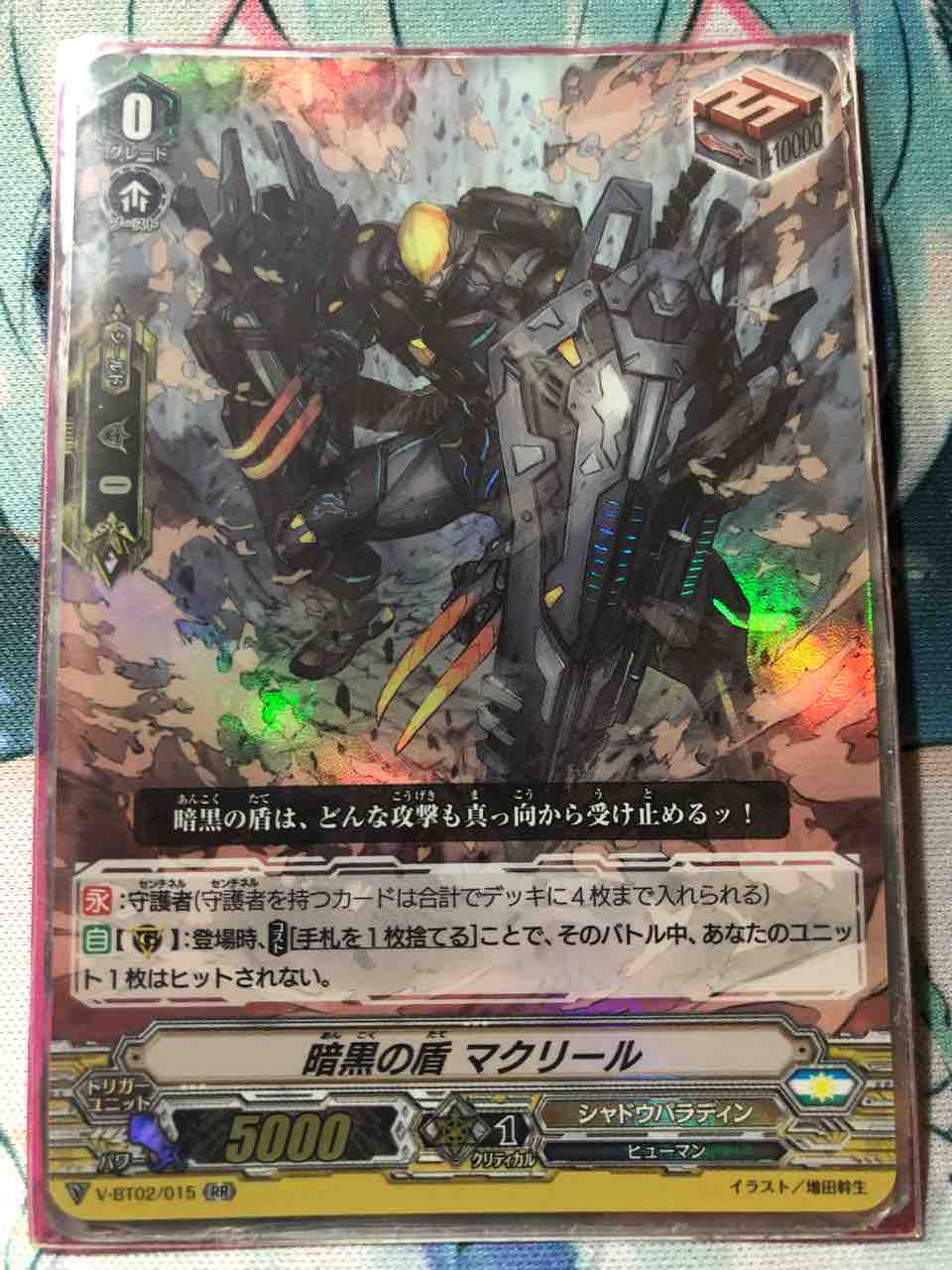 シャドウパラディンデッキパーツ348枚 Whirledpies Com