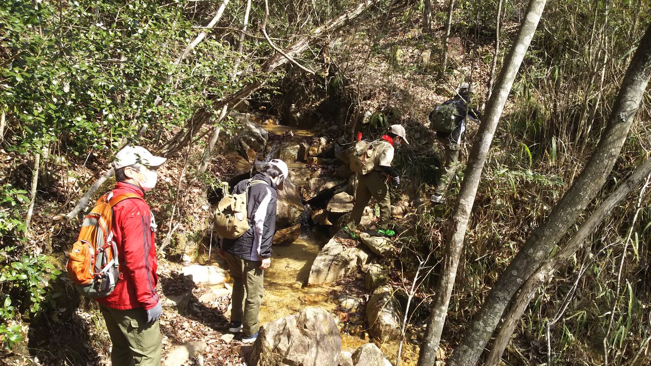 ボーイ隊 2級章チャレンジハイク 元気いっぱい 三田のボーイスカウト