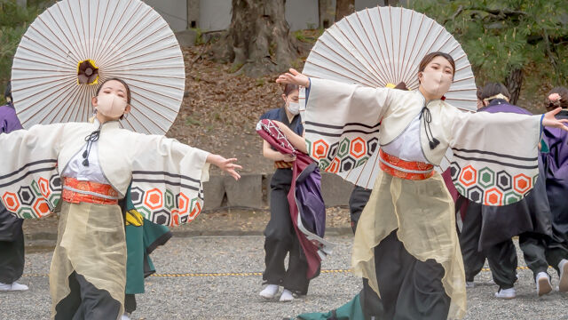京都さくらよさこい21 福井大学よっしゃこい 祭りびと2 京都さくらよさこい21 福井大学よっしゃこい 祭りびと2