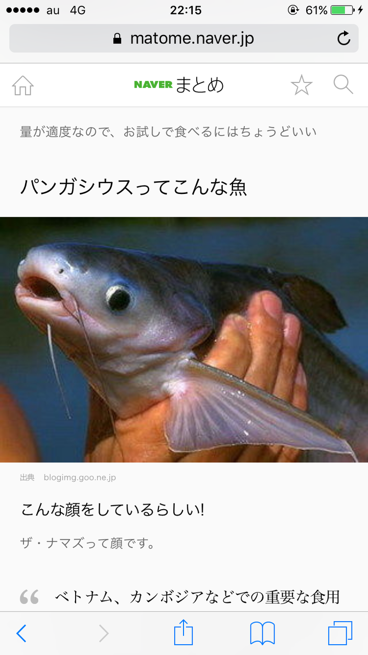 彡 この白身魚のムニエルうまかったなぁ ん パンガシウス 三度の飯よりご飯