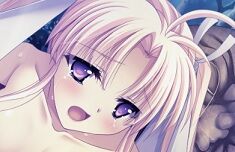 kr14