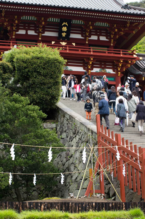 鶴岡八幡宮と銀杏