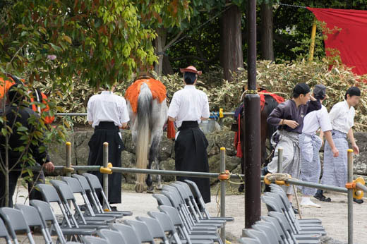 お馬さんは待機中
