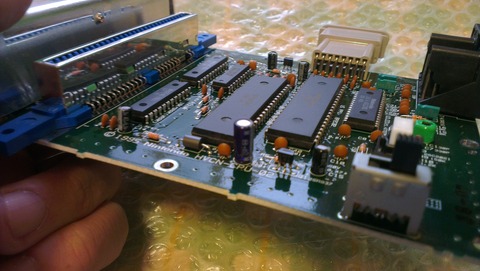 IMAG0502