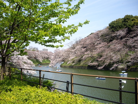 2017040802