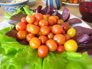 無農薬・無化学肥料で育った美味しい野菜たち