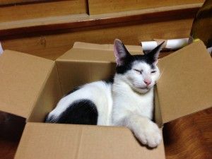 居心地よすぎて寝る。