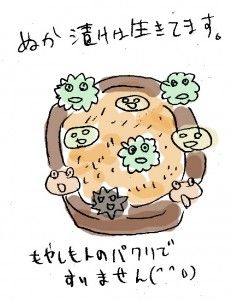 ぬか01