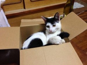 もぉ〜あんまり撮らないでよ〜。