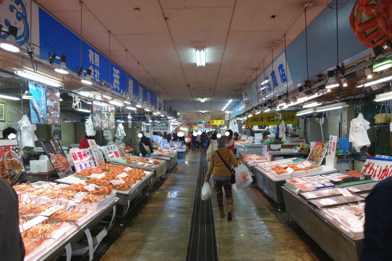 境港魚 カニ 山陰と小庭 写真