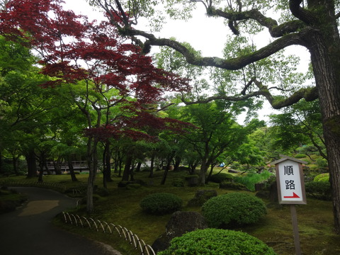 DSC00151