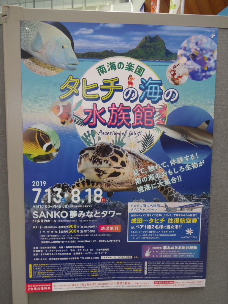タヒチの海の水族館 山陰と小庭 写真 タヒチの海の水族館 山陰と小庭 写真
