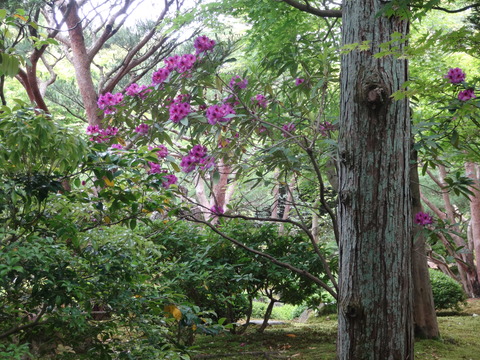 DSC00187
